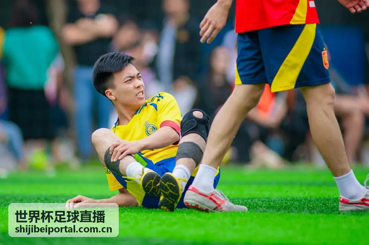 世界杯足球直播 意甲联赛封面